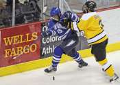 Rate of concussions after hits to side of the head dropped following NHL Rule 48, study finds