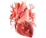 Research explains how low sodium weakens the heart’s electrical signals