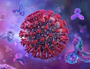 Specially engineered antibody delivers RNA therapy to treatment-resistant tumors