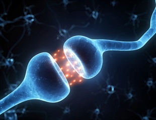 Muscle hormone FGF21 linked to longer survival in ALS